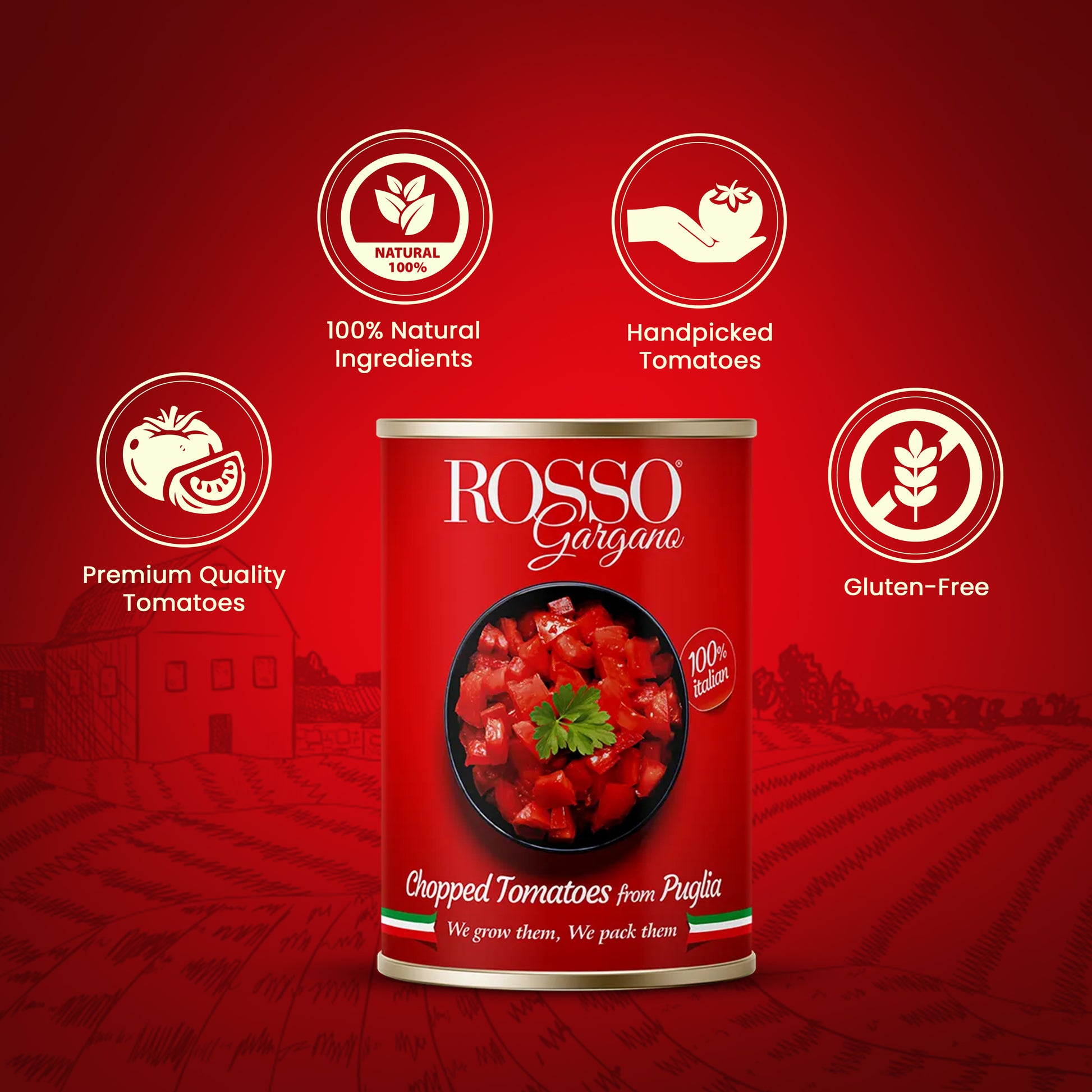 Rosso Chopped Tomatoes Features - Damati Foods