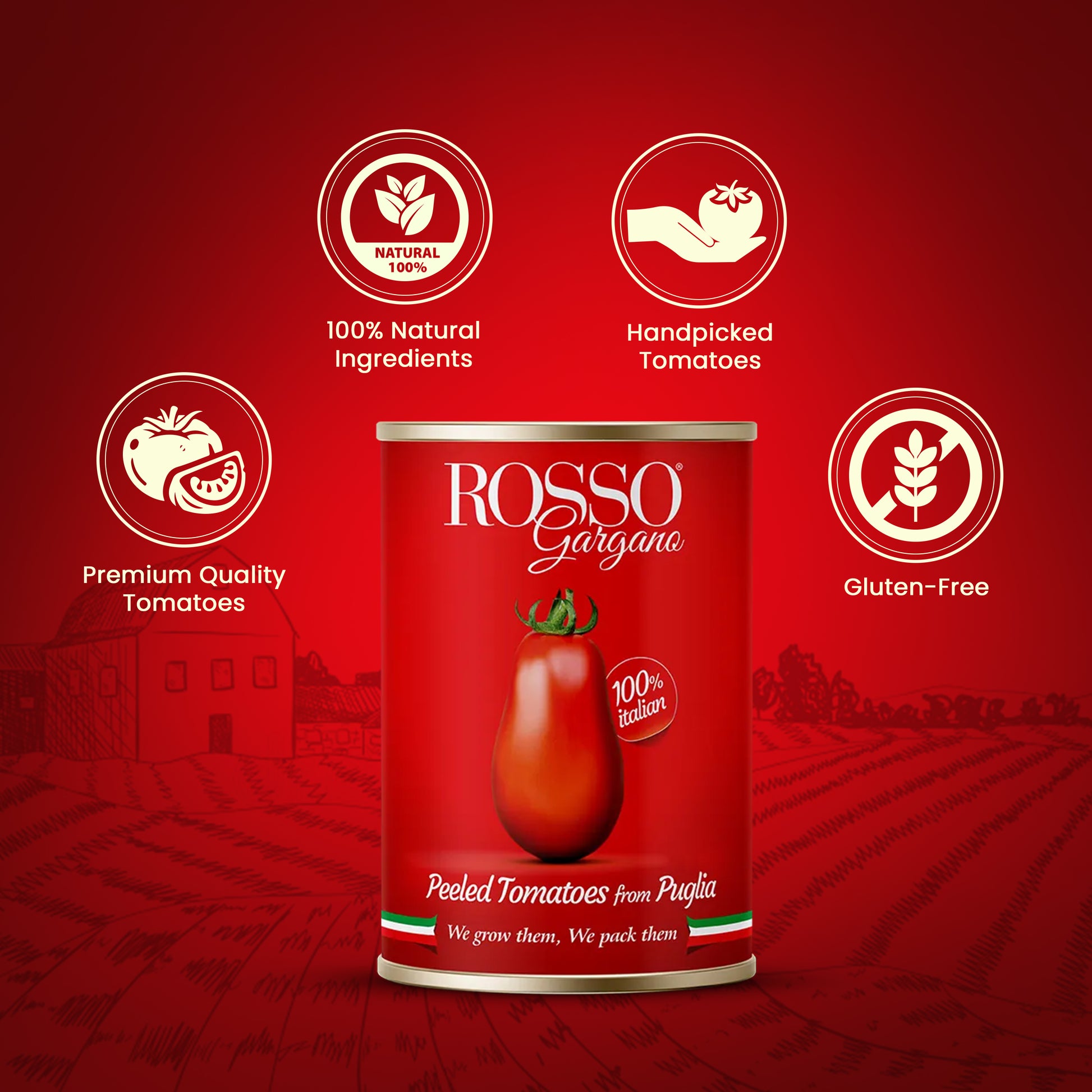 Rosso Whole Peeled Tomatoes (2500 gms) Features - Damati Foods