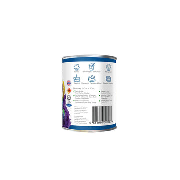 Fruttose Blueberry Filling and Topping (60% Fruit) - 595 Gms